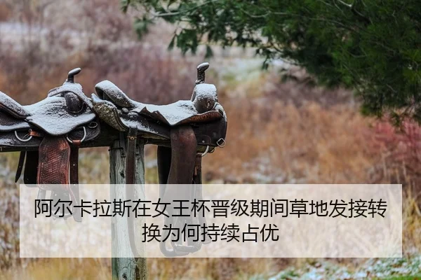 a-er-ka-la-si-zai-nv-wang-bei-jin-ji-qi-jian-cao-di-fa-jie-zhuan-huan-wei-he-chi-xu-zhan-you-2-288.jpg