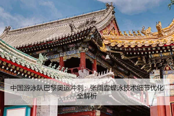 zhong-guo-you-yong-dui-ba-li-ao-yun-chong-ci-zhang-yu-fei-die-yong-ji-shu-xi-jie-you-hua-quan-jie-xi-3-567.jpg