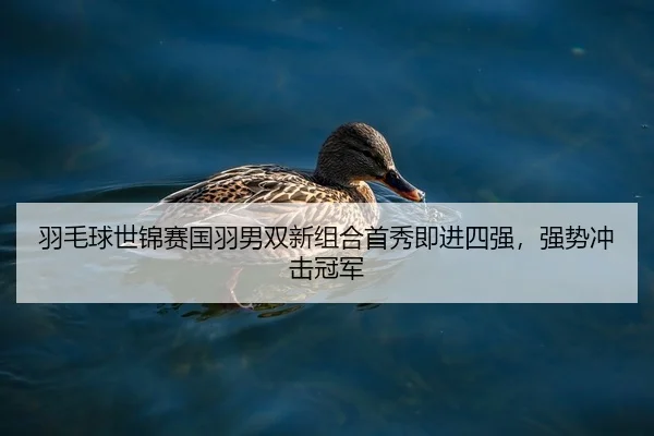 yu-mao-qiu-shi-jin-sai-guo-yu-nan-shuang-xin-zu-he-shou-xiu-ji-jin-si-qiang-qiang-shi-chong-ji-guan-jun-2-254.jpg
