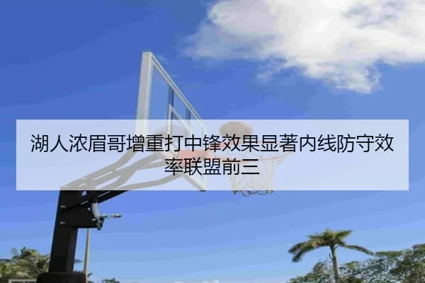 湖人浓眉哥增重打中锋效果显著内线防守效率联盟前三
